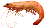gamba-menu