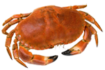 krab-menu