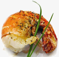 gamba